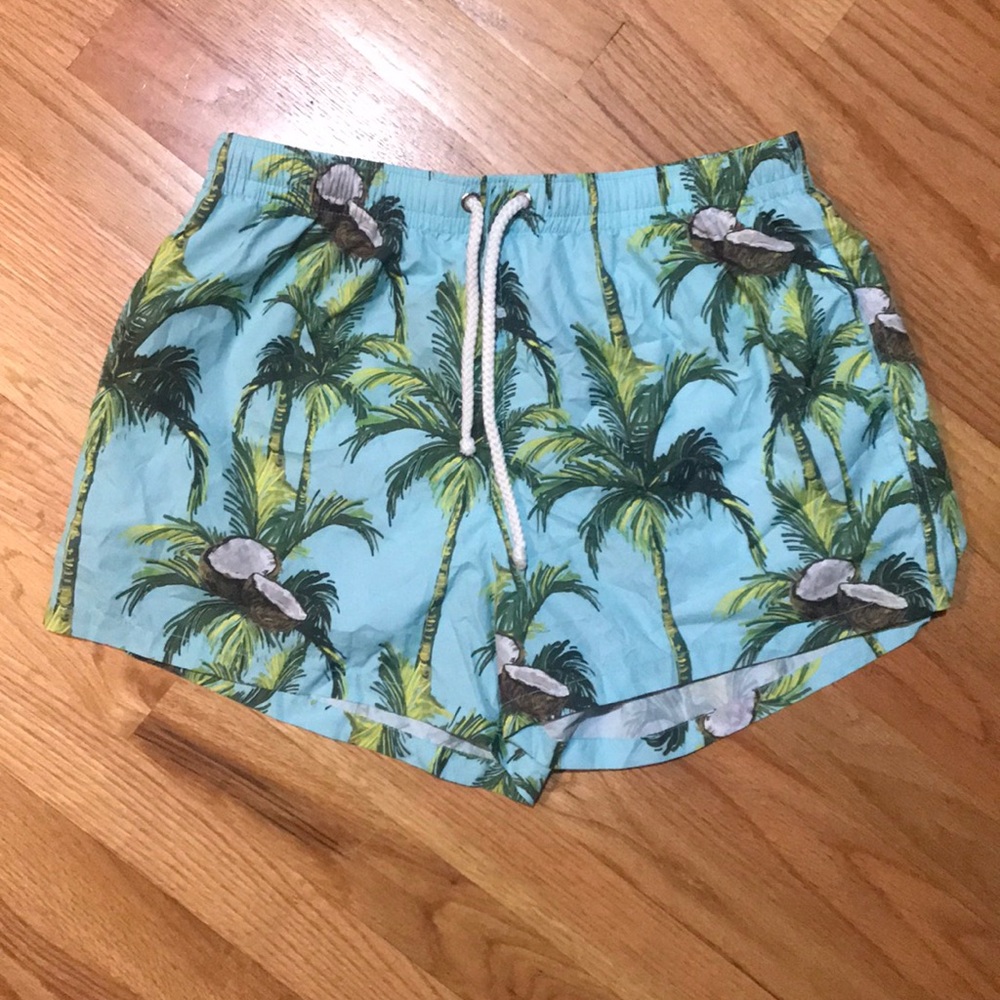 Zara men’s 5 inch swim suit - never worn